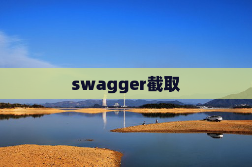 swagger截取